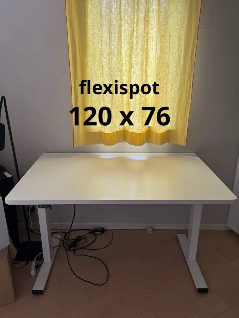 FLEXISPOT フレキシスポット 電動昇降デスク EN1