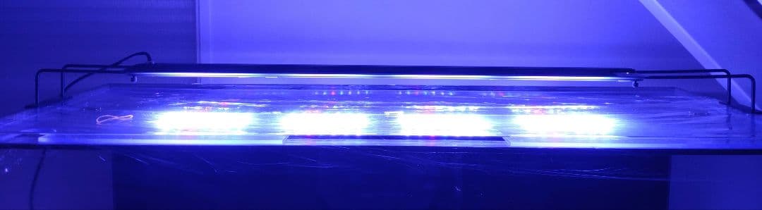 マーフィード NEMO LIGHT2 AM-96 (海水用)