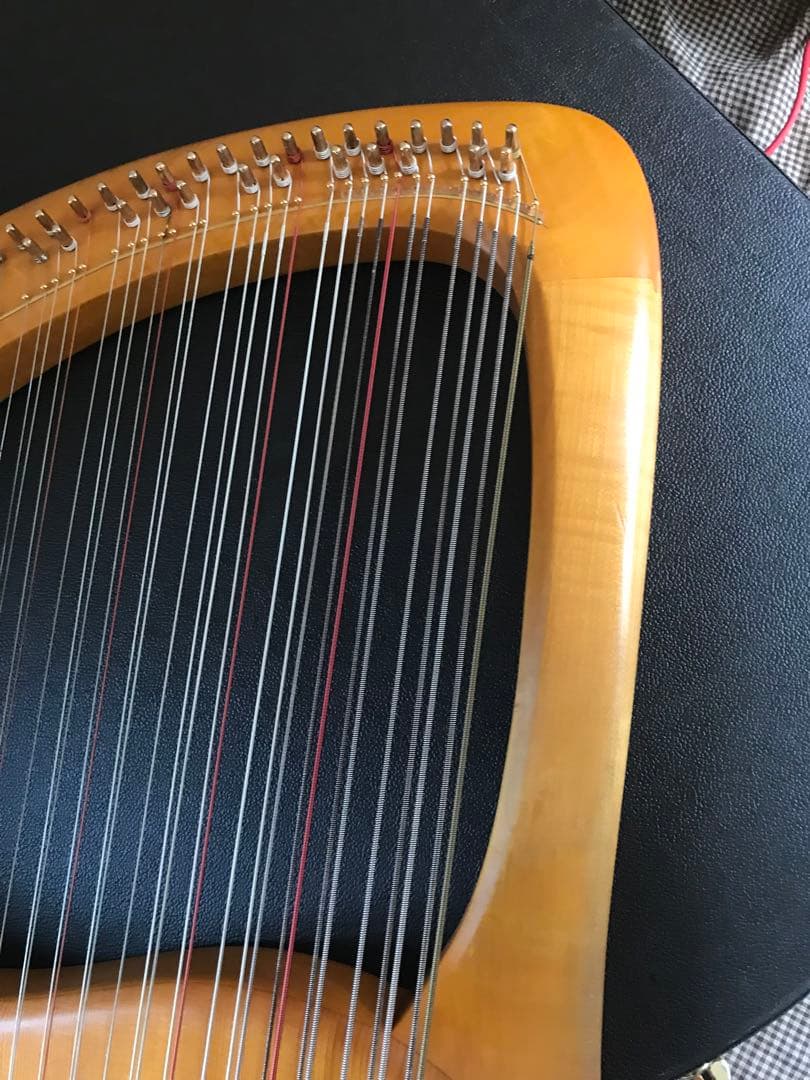 最終値下げ　19日発送　ゲルトナーテノーラライアー46弦