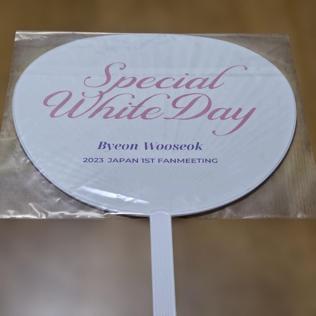 【最終値下げ】ビョンウソク　トレカ、ファンミうちわ、トートバッグ、スリーブセット