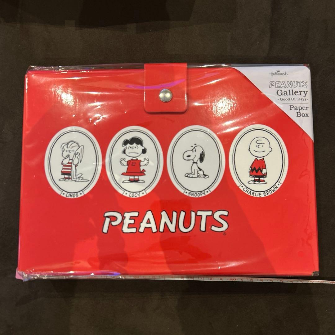 ピーナッツ トランク型スヌーピーフレーム