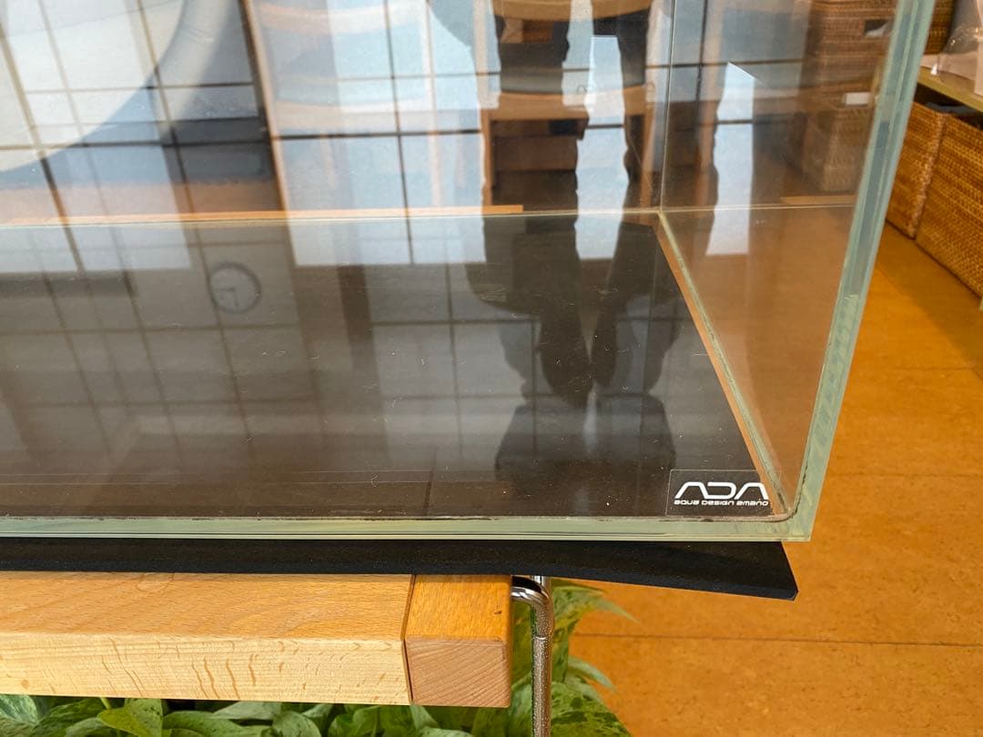 ADA ガラス水槽 約60cm