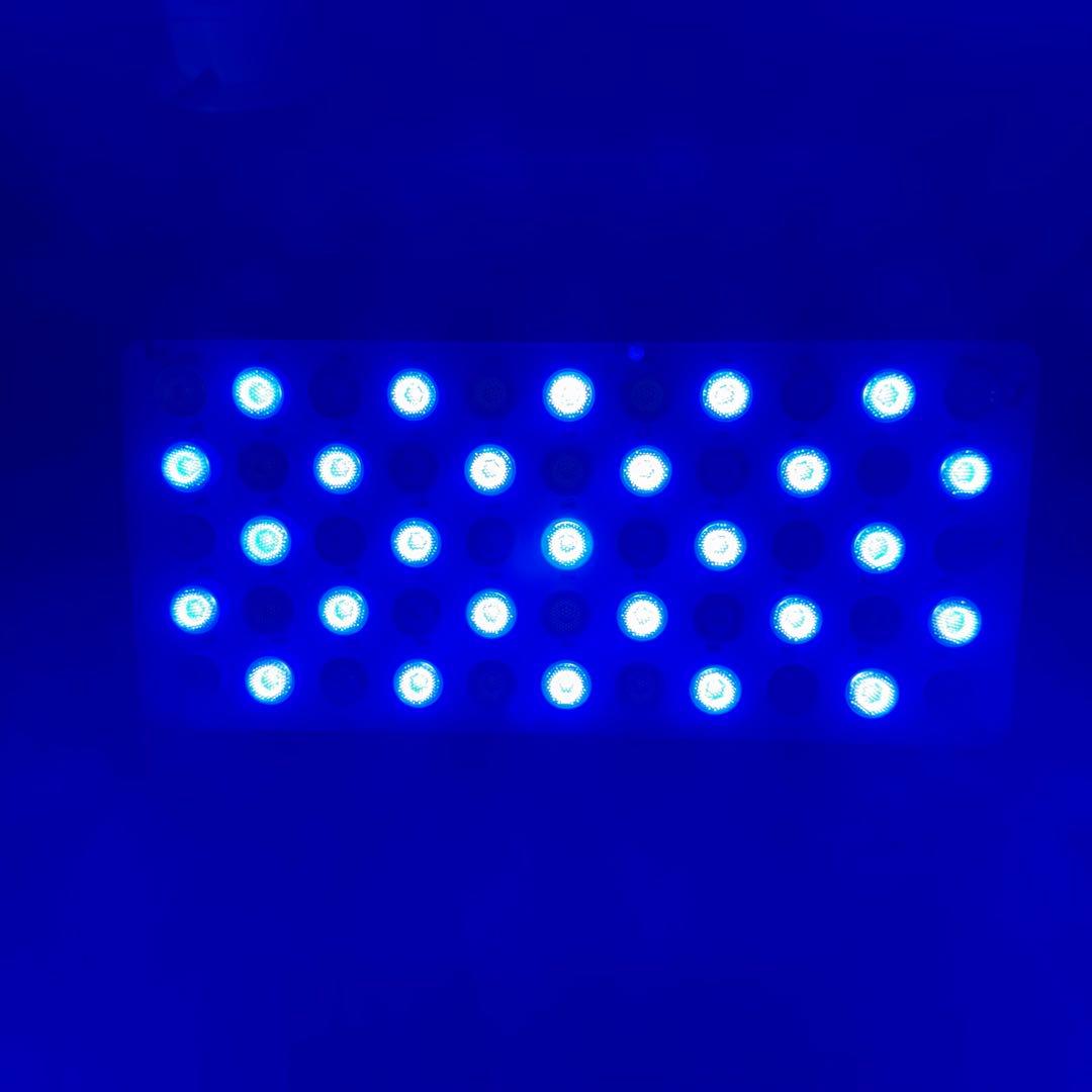 ブラックボックス　ニッソータイマーのセット