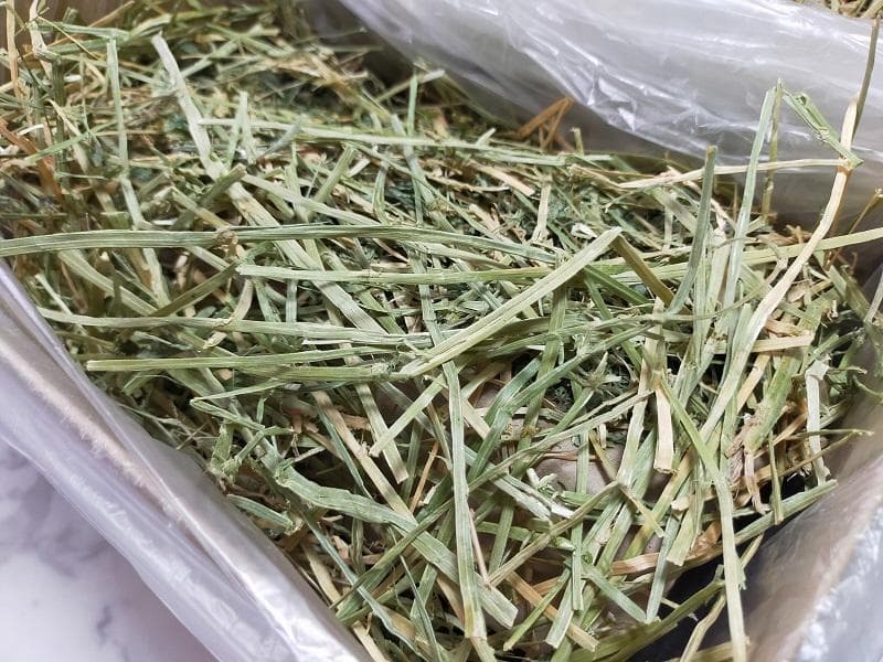 【8/20まで】 カナダ産 チモシー 60kg スーパープレミアム １番刈り