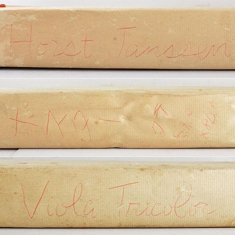 ホルストヤンセン　ポスター　額装　C　4316B