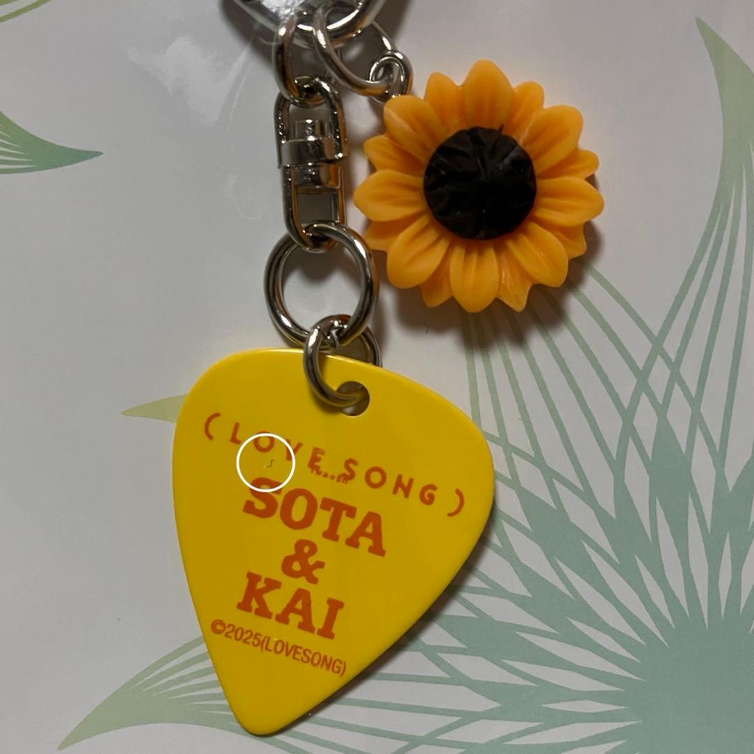 向井康二 森崎ウィン 映画 LOVE SONG ピックキーホルダー