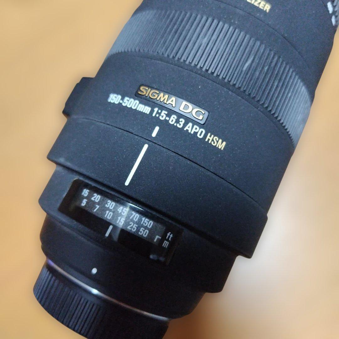 シグマ ニコン 望遠レンズ 150-500 1:5-6.3 APO HSM