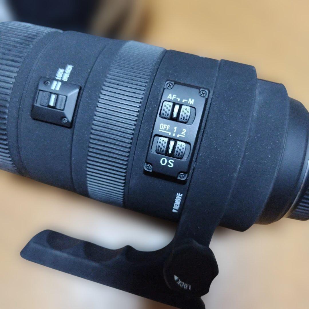 シグマ ニコン 望遠レンズ 150-500 1:5-6.3 APO HSM