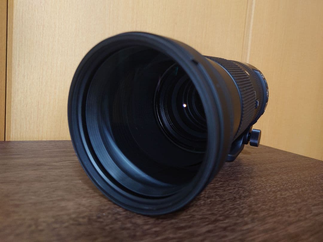 Sigma 150-600mm contemporary ニコンFマウント