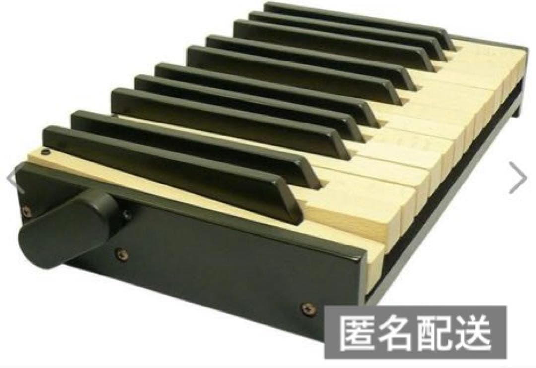 【匿名配送】トレーニングキーボード 携帯鍵盤2oct TKY-2