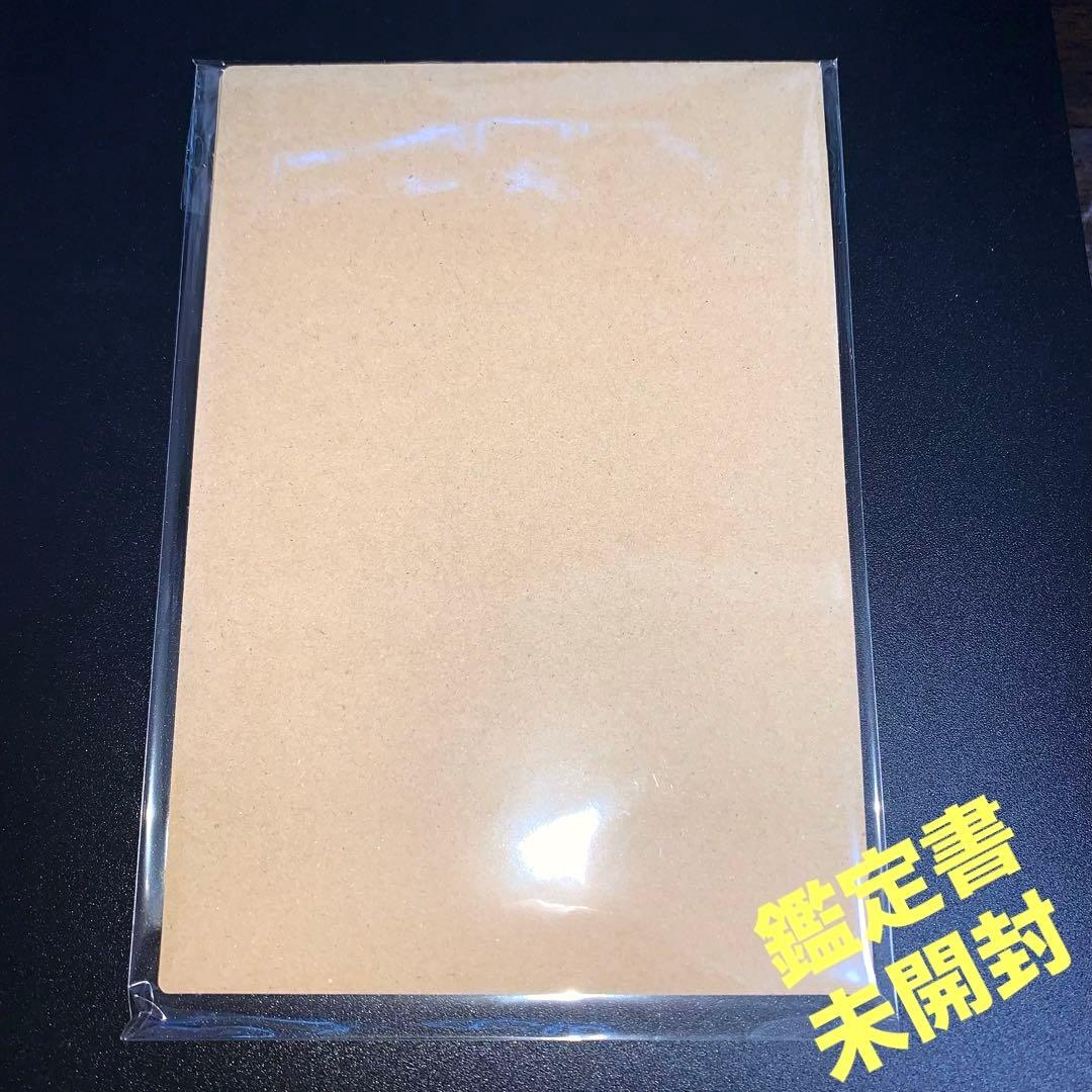 【ARS10+】メガリザードンxex RR 鑑定書付き　インフェルノX