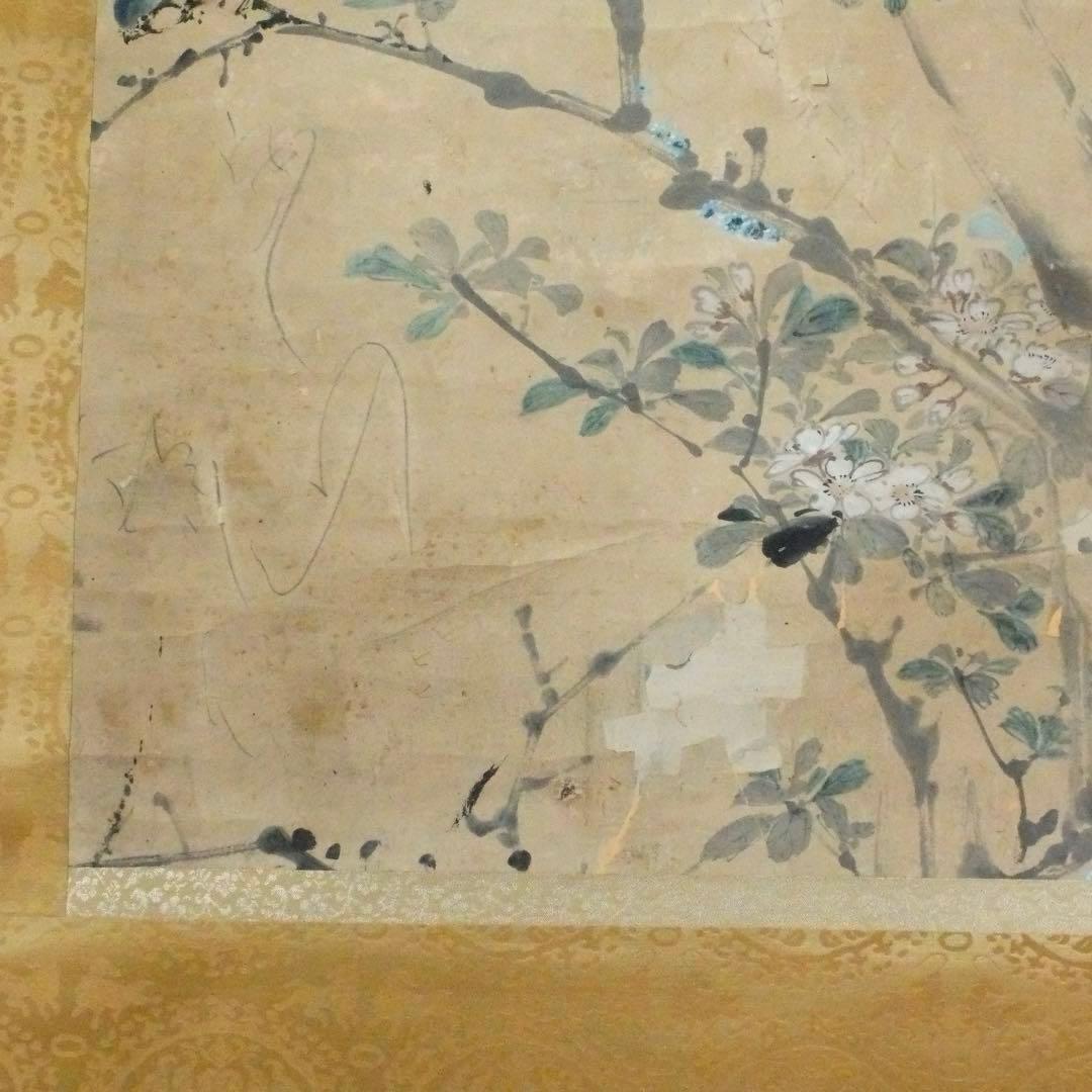 2077様感謝‼️風かほる‼️肉筆　掛け軸　「桜にすずめ」吉田公均　作　春彼岸