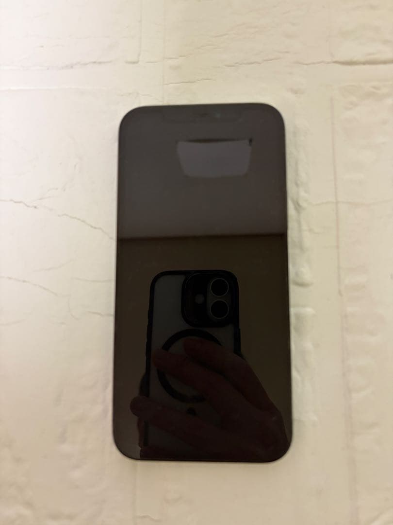 Apple iPhone 12 Pro (パシフィックブルー)