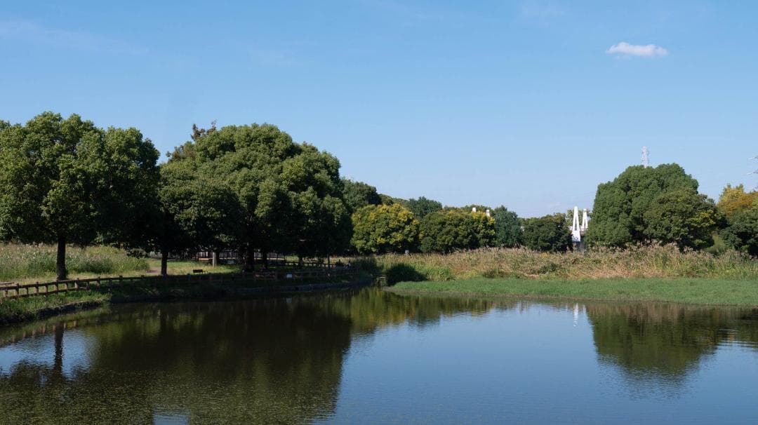 Panasonic LUMIX DMC-GF5 レンズキット スマホ転送OK