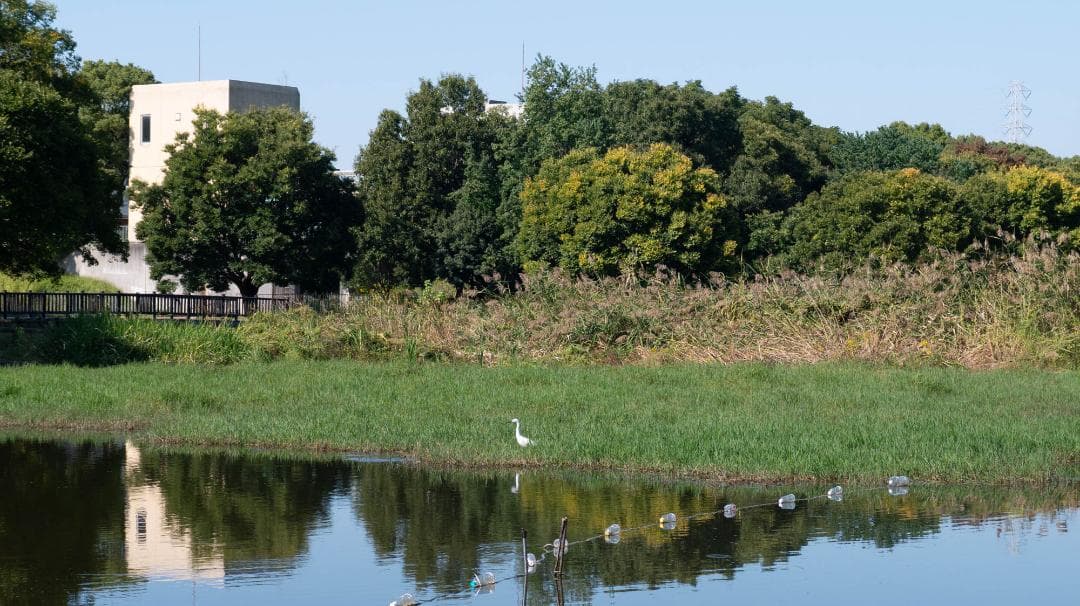 Panasonic LUMIX DMC-GF5 レンズキット スマホ転送OK