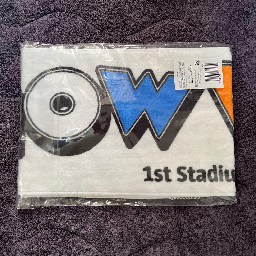 Man スノーワールド Tシャツ タオルとカレンダーおまとめ売り