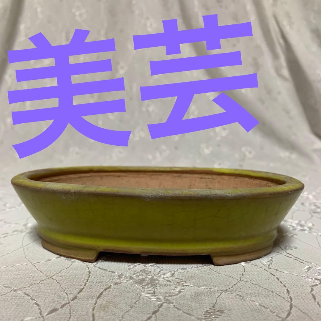 美芸　楕円　黄　盆栽鉢