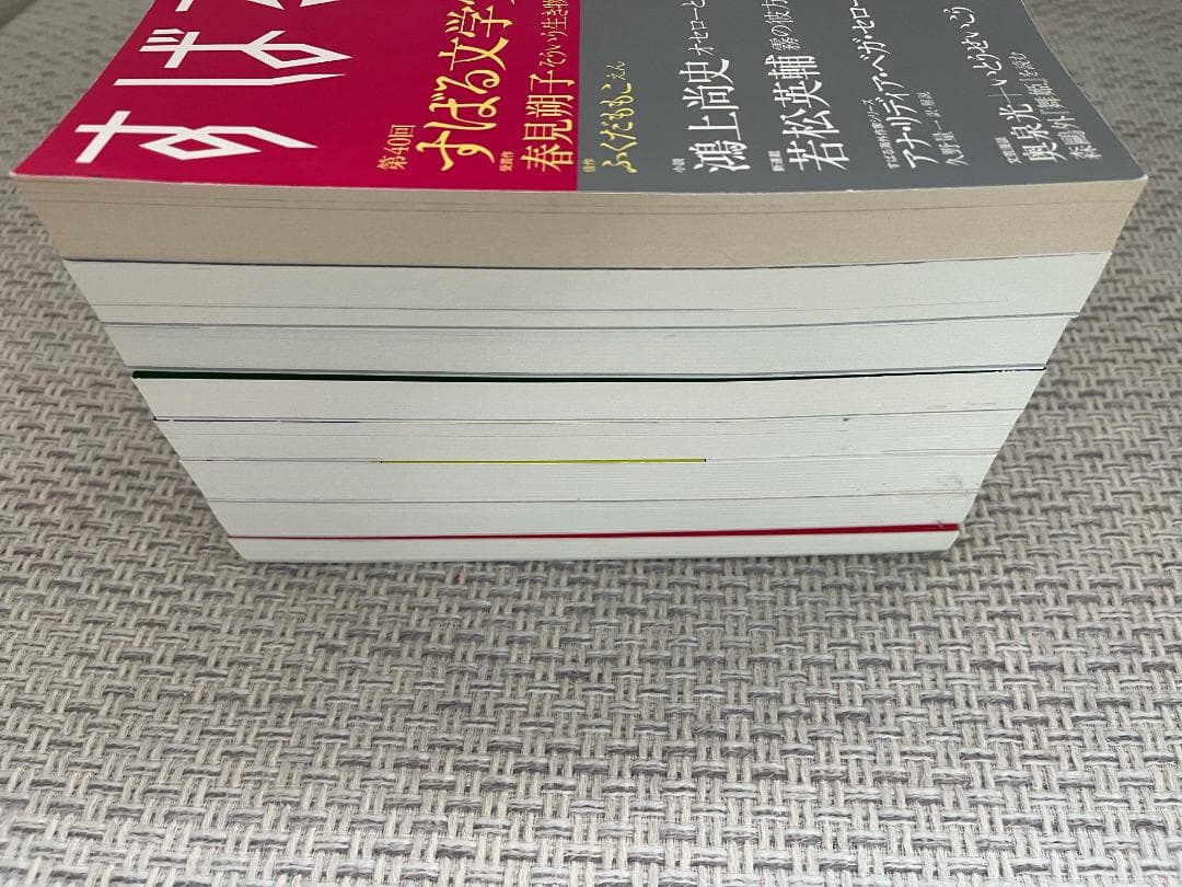 【文学賞8年分】文芸誌『すばる』発表号【8冊セット】