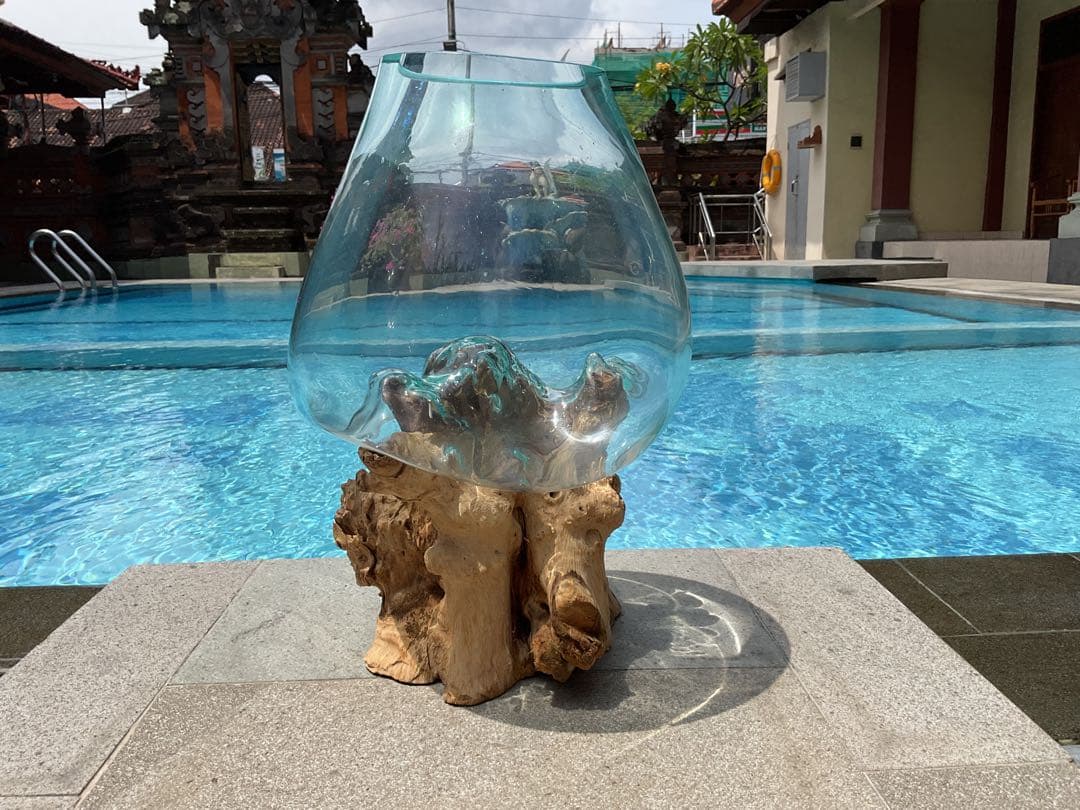 【新入荷】フィッシュボール(流木ガラス水槽)L size