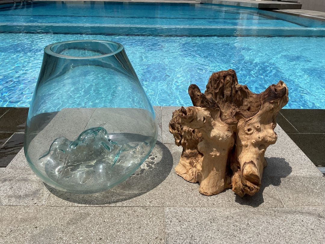 【新入荷】フィッシュボール(流木ガラス水槽)L size