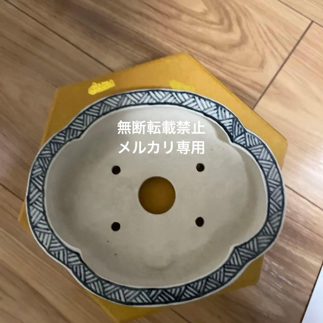 ミニ盆栽鉢　桑津香石　絵鉢　山野草　小品盆栽