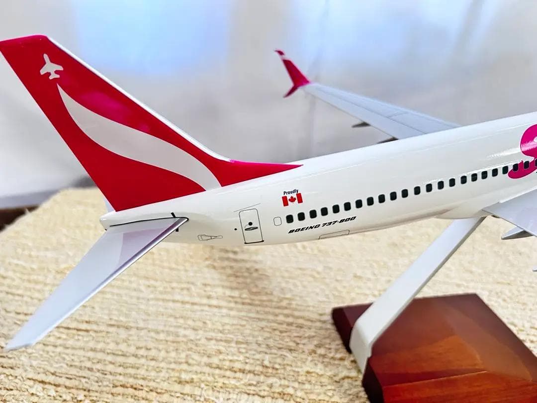 DARON / ダロン｜SWOOP / スウープ｜B737-800｜1/100