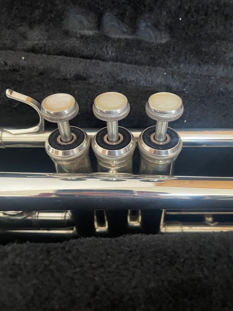 YAMAHA XenoアーティストモデルYTR-9335NY