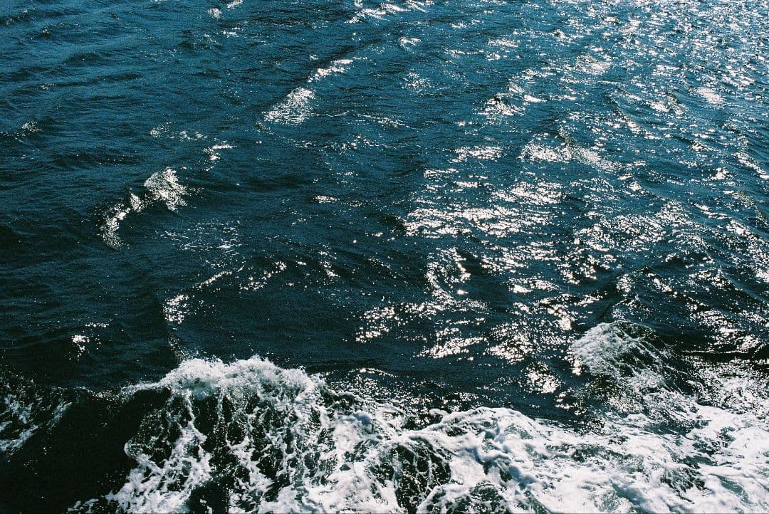 OLYMPUS OM-1N ブラック ZUIKO 35mm F2.8