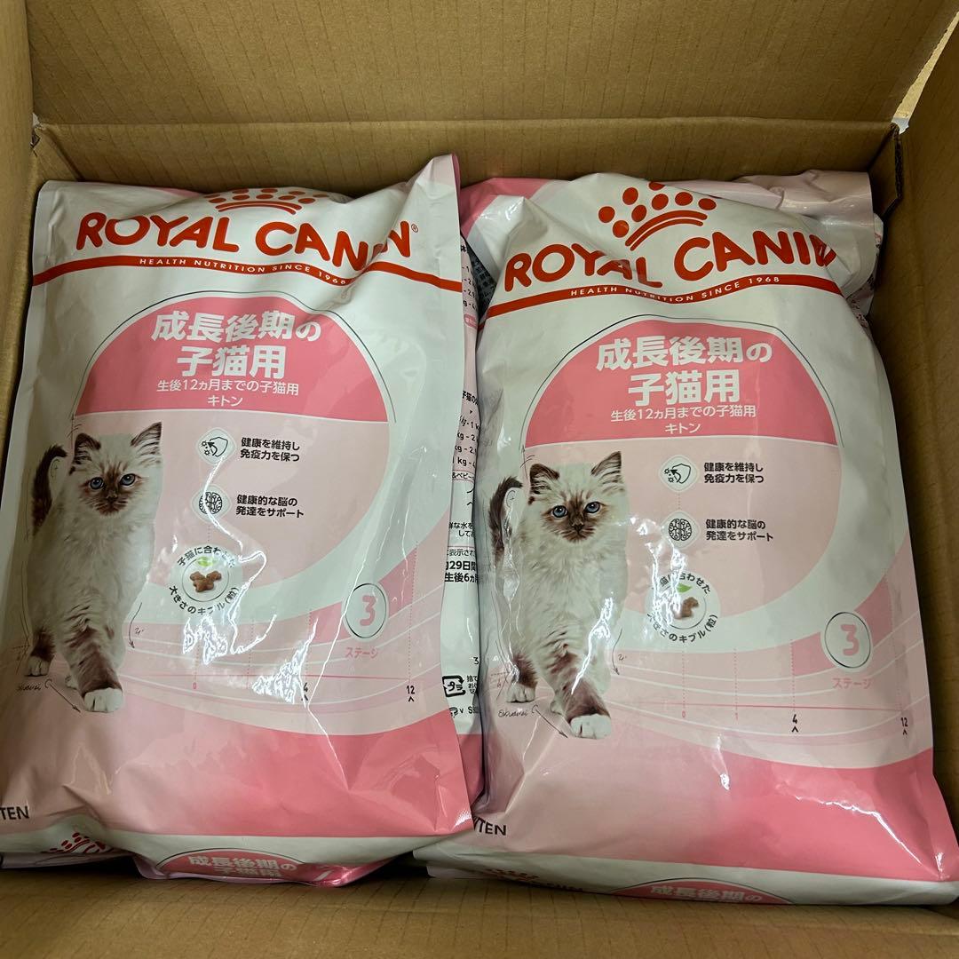 ネ*☆様  CANIN マザー＆ベビーキャット 成長後期 キトン 2k