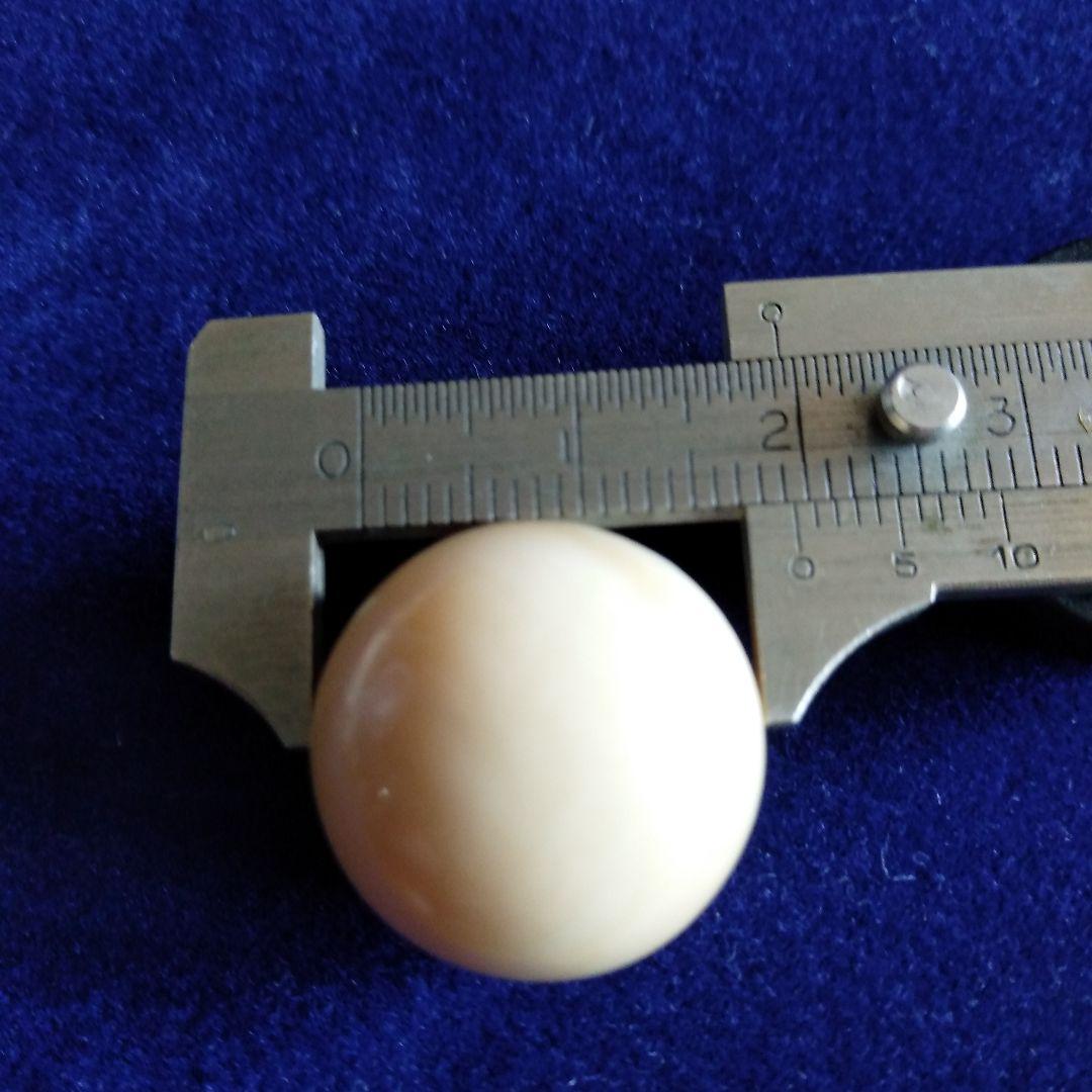 鯨歯　マッコウクジラ　牙玉　ルース　約19.5㎜　片穴