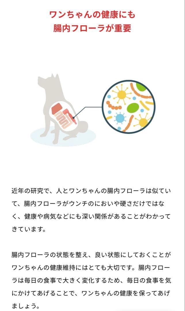 Vet’Labo V-Base ヤクルト ベッツラボ ブイベース