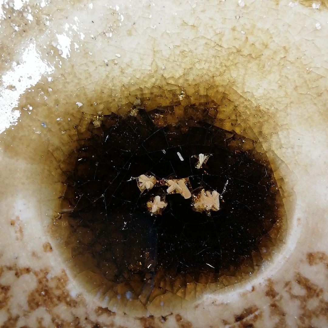 Ｔ１５　茶碗　『美濃伊賀　茶碗』『ガンジャラ窯　高森鵬翔』　共箱　抹茶碗　茶道具