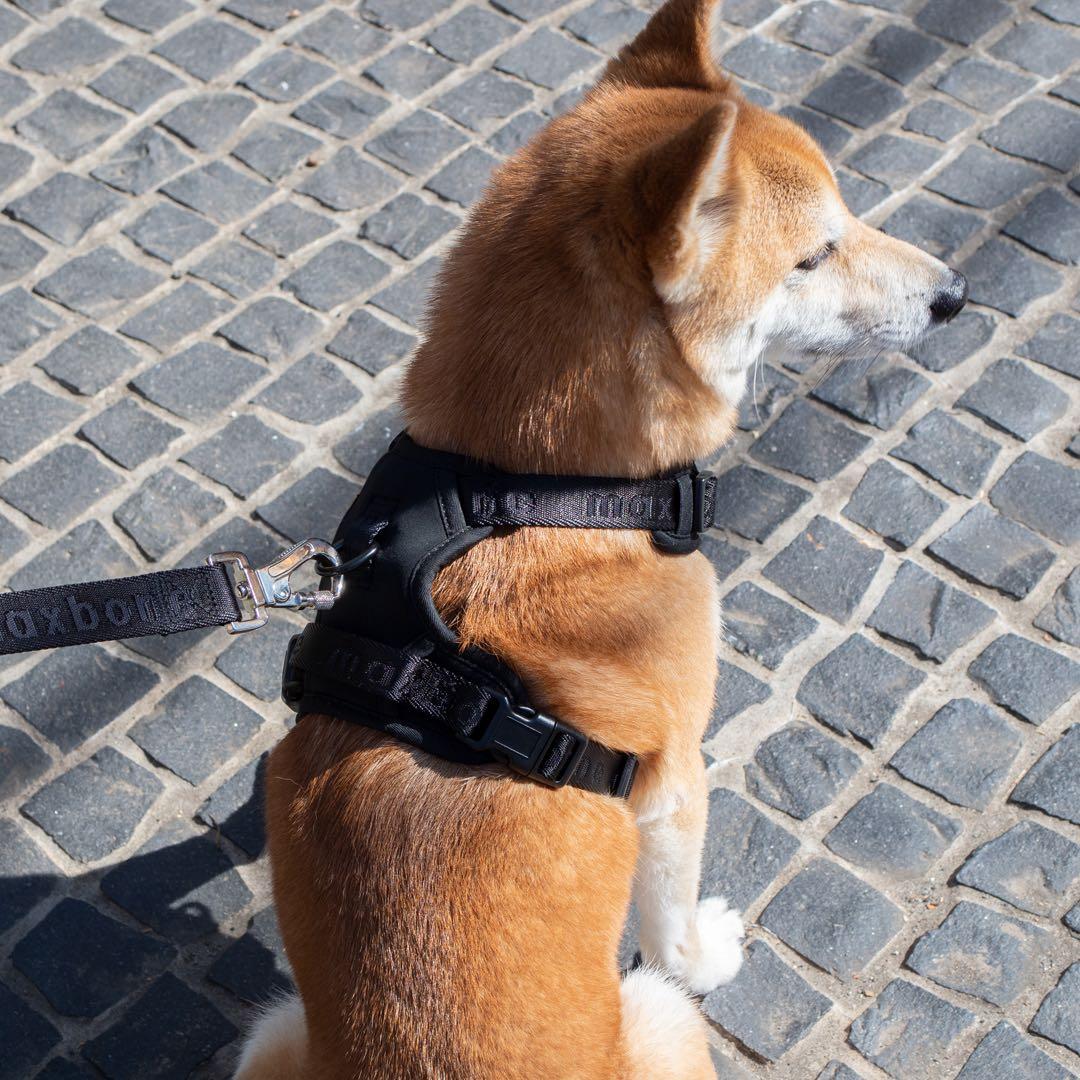 【新品】ハーネス/max-bone/ブラックSサイズ/ラグジュアリーブランド