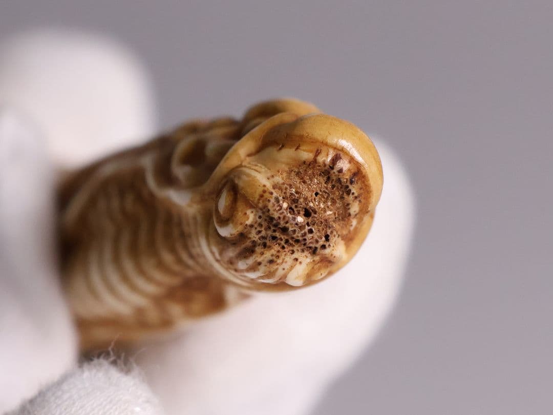 時代 堤物 根付 置物 鹿角 麒麟 全長7.6cm 神獣 彫刻【CM258】