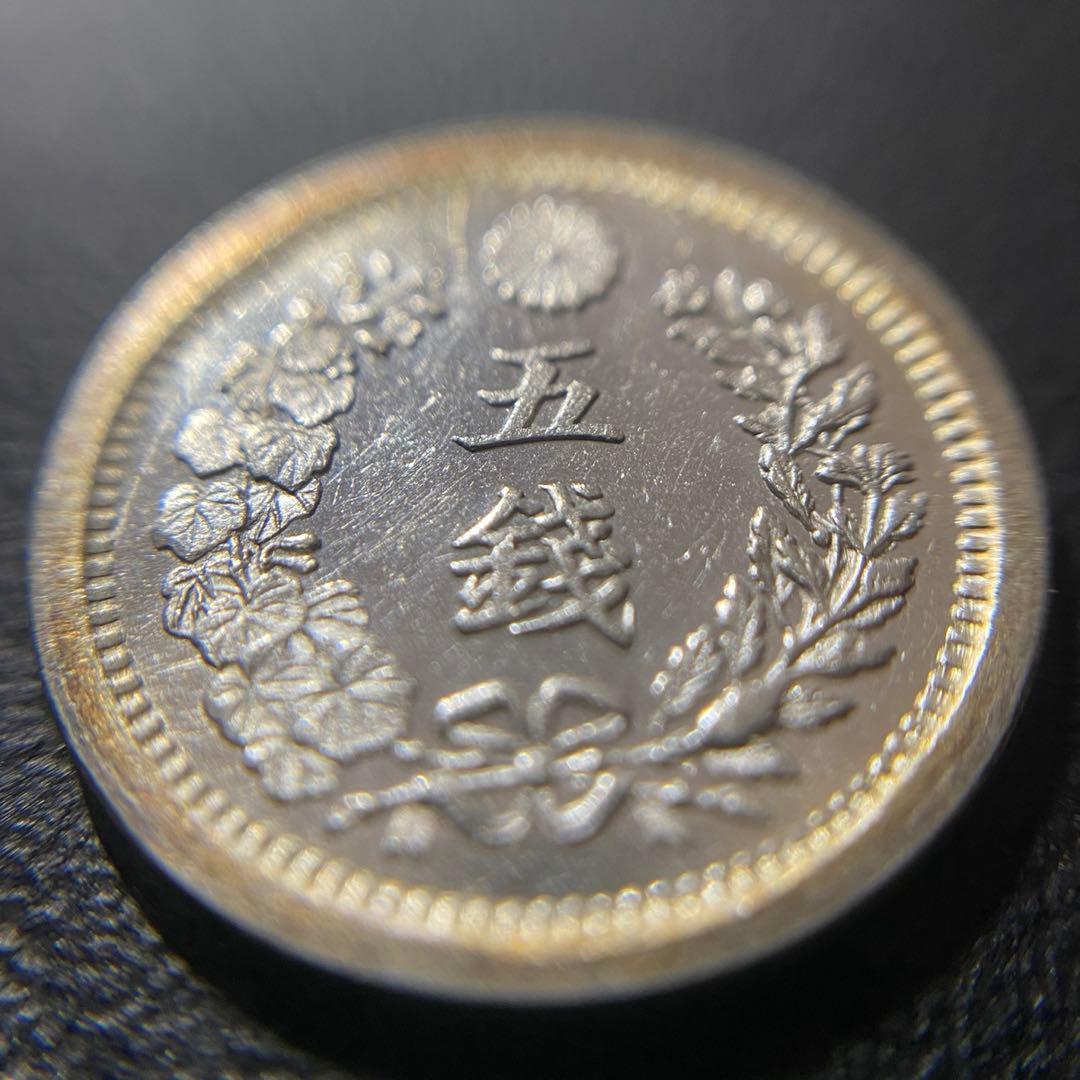 竜5銭銀貨 M8