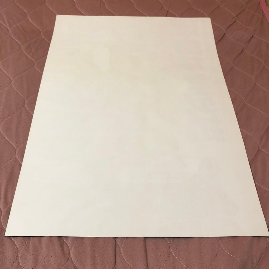 B2映画ポスター☆理由なき反抗／ジェームス・ディーン／ナタリー・ウッド