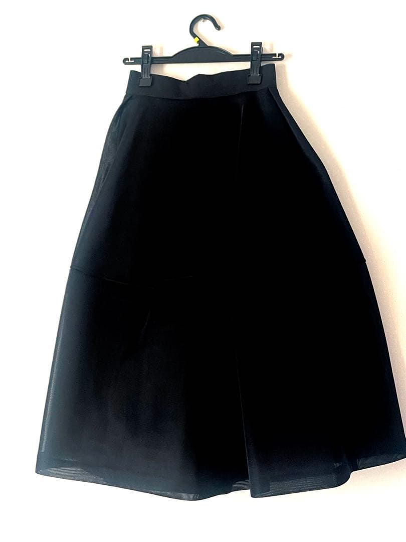 りーちゃん　Lig. sheer volume skirt