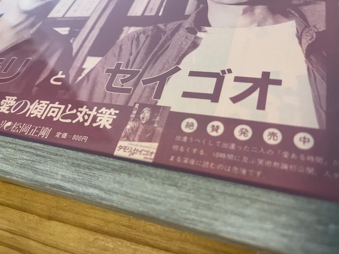 ★タモリとセイゴオ/書籍発売告知リーフレット/愛の傾向と対策/B5/1980年