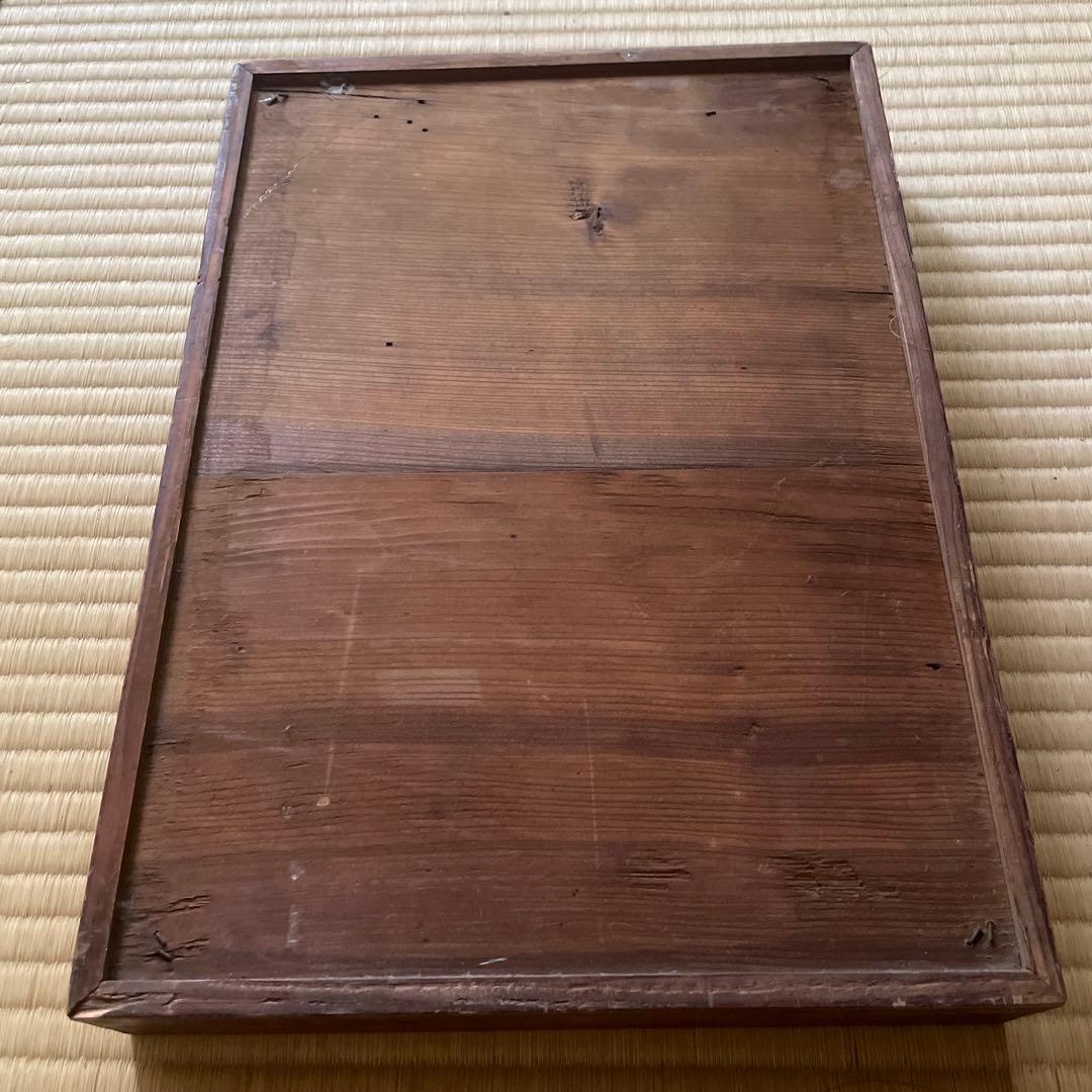 珍品、レトロ　医学模型　寄生虫