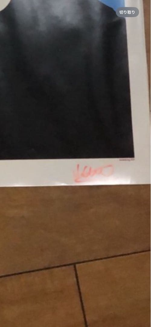 ジャッキー シェフィンズ　　トム ヨーク Radio head　ポスター