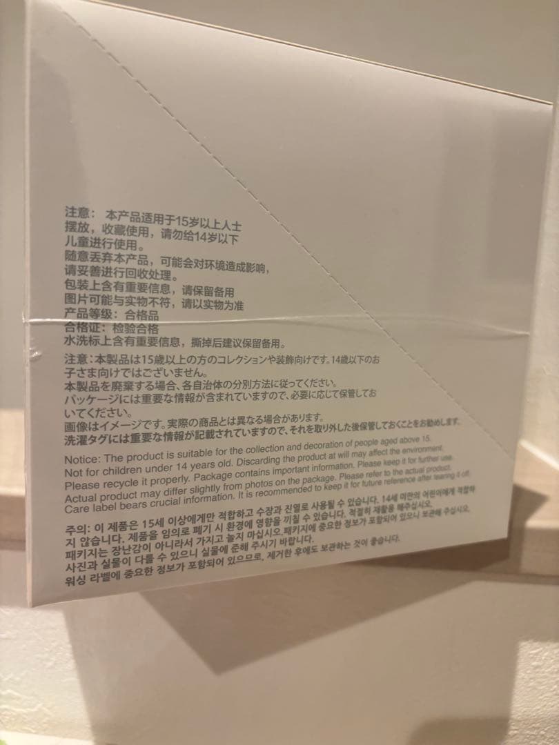 専用　ラブブ Big into Energy アソート10ボックス