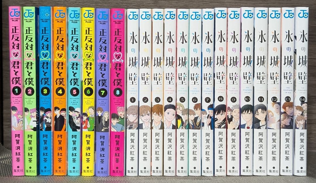 【22冊】 氷の城壁 正反対な君と僕