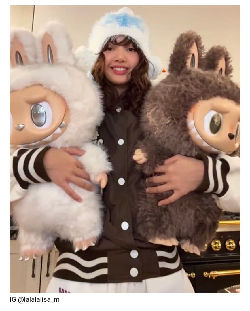 【正規品】POPMART Labubu The Monster ジモモ ラブブ