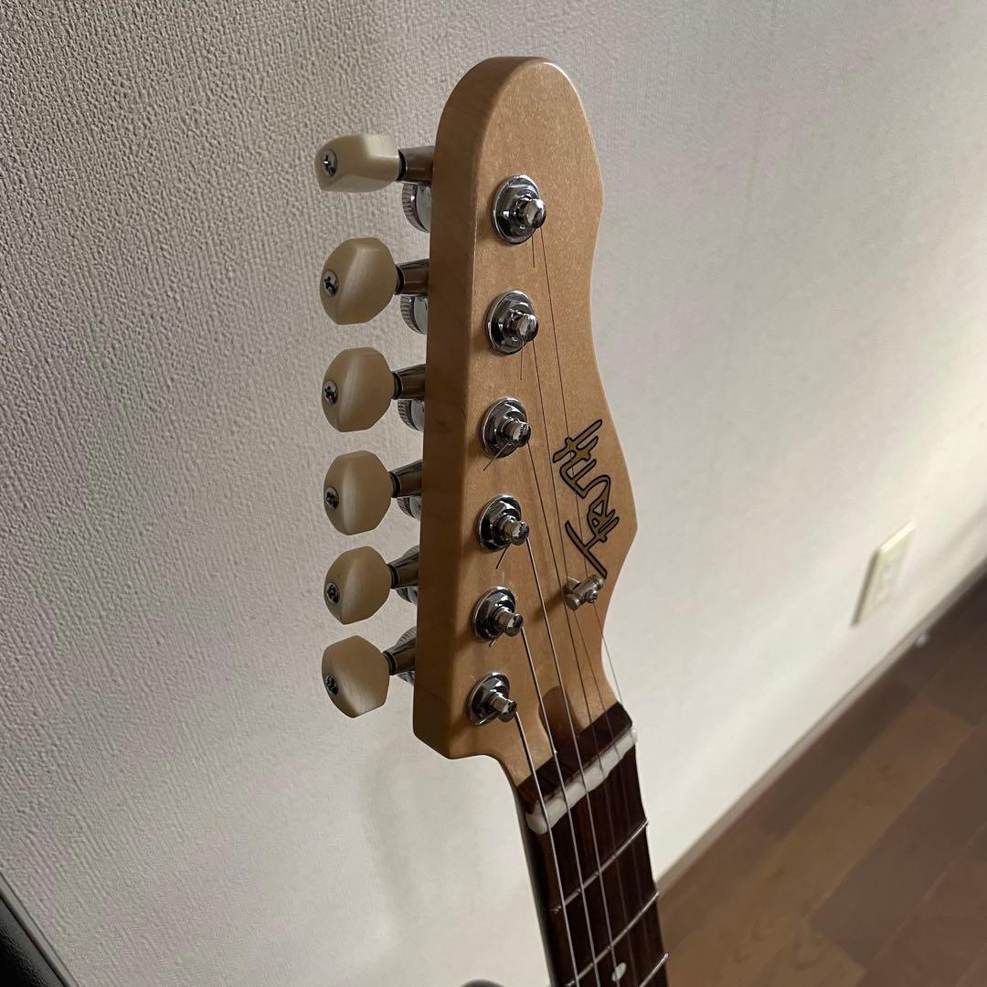 truth テレキャスタータイプ TTL-201 オーダー仕様 トゥルース 美品