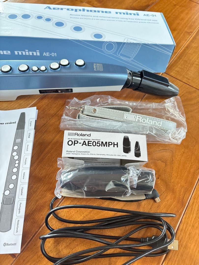 管楽器・吹奏楽器 Roland Aerophone mini AE-01