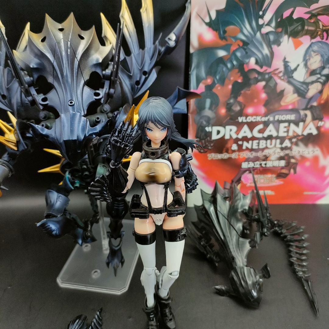 ブロッカーズ フィオーレ　ドラセナ＆ネビュラ　美少女プラモデル　【全塗装完成品】