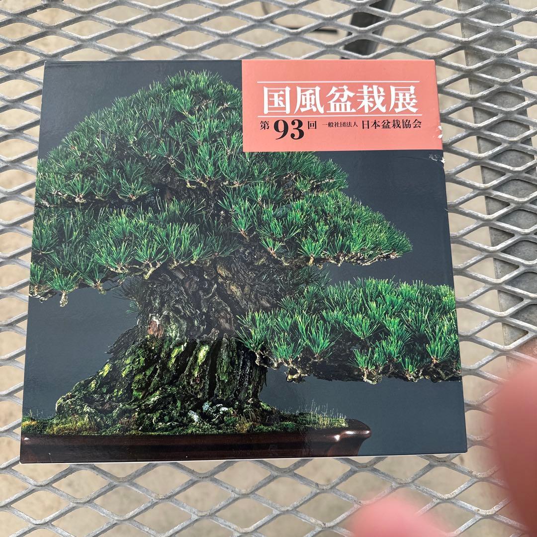 国風盆栽展　第90回〜第93回