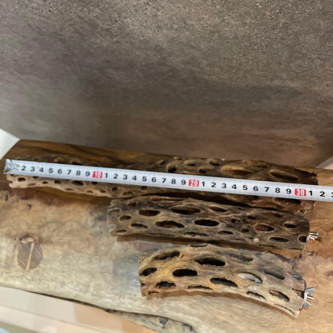 【まるさん専用】オーダーメイドカクタスパーチ相談ページ