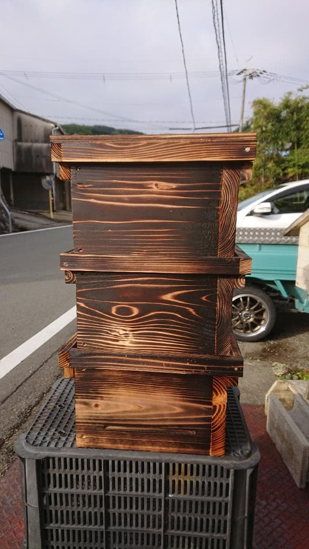 蜜蜂巣箱3段監視扉付