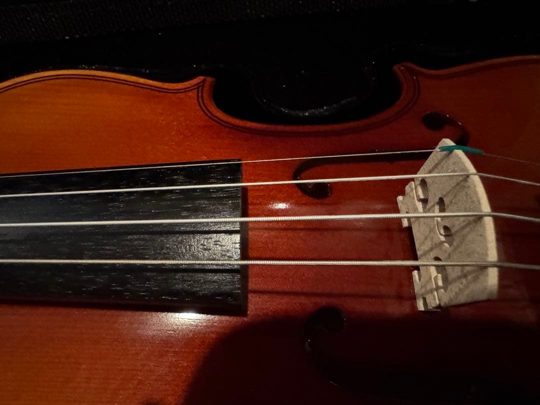 鈴木バイオリン バイオリンセット 210 1/10